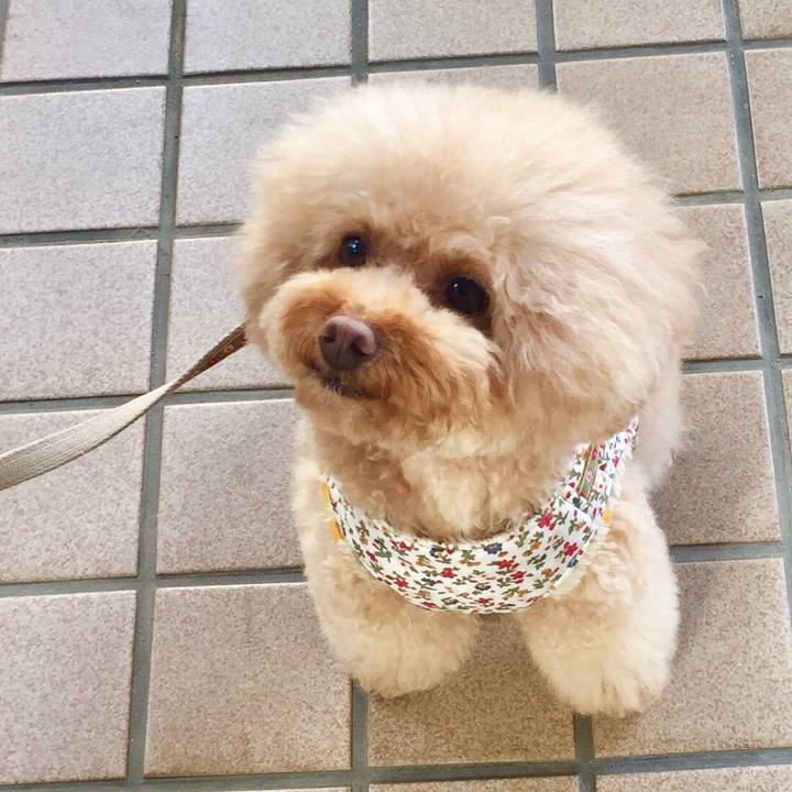 Dc9ec381 2af8 431f 85fd ec4db3e0adca