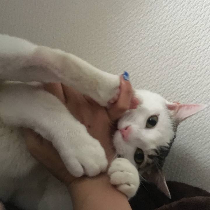 Dc9ef540 2927 4243 b71e 6f3210d93981