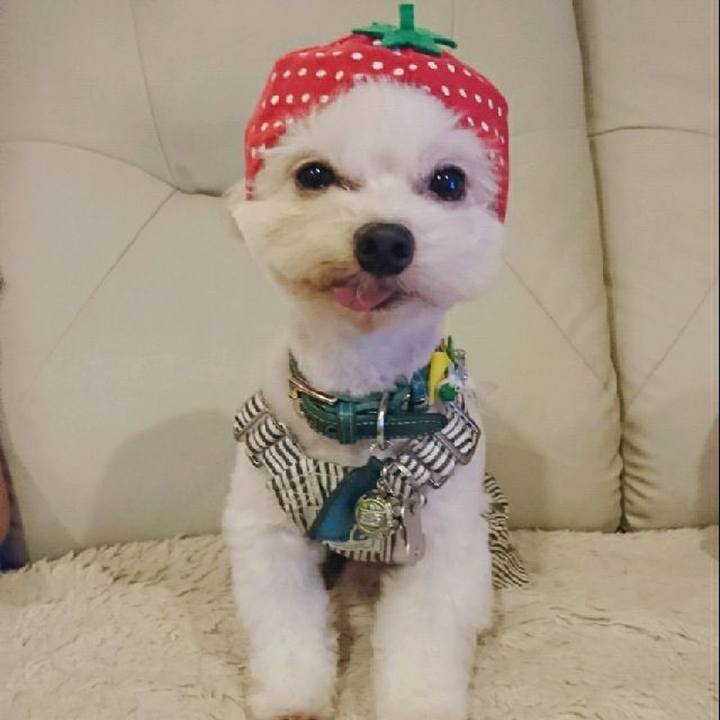 Dc9f8ebb 5ef1 4c64 9dc8 21d93bead0a5