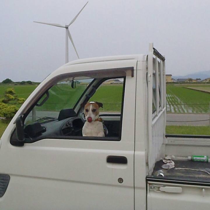 Dca088fd 9763 4270 b95c 9f7abc04fcd5