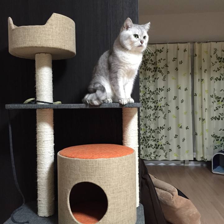 Dca0a0b9 3076 4a62 9449 a96d75e82122