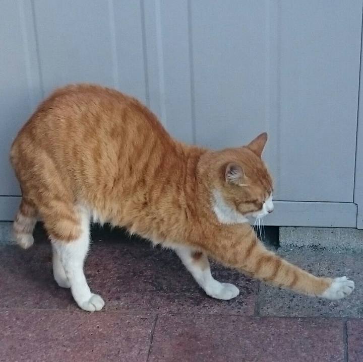 Dca0f84f 22ad 4bb1 8322 35c07e9fd479