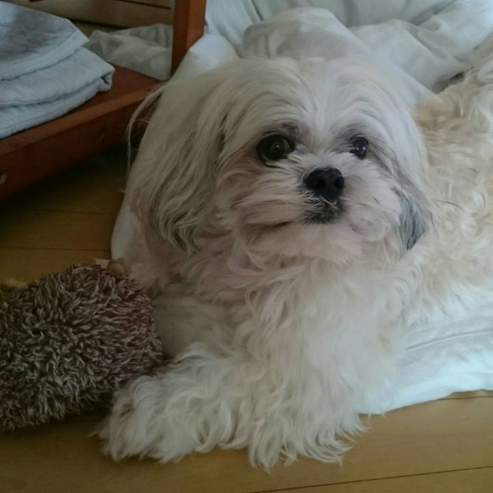 Dca12c10 e445 4794 a1d5 9a7efe8f982a