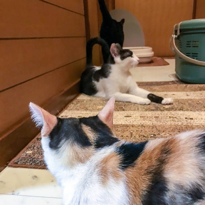 Dca1625e 5b96 4708 bb24 775e35998695