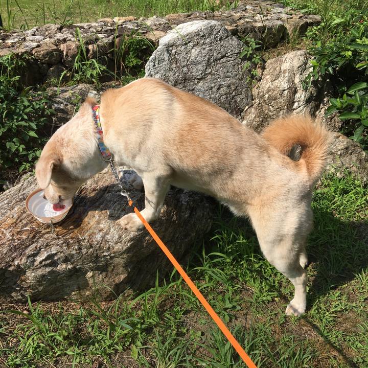 Dca21702 7e80 4c86 a477 ad99f3c47a0c