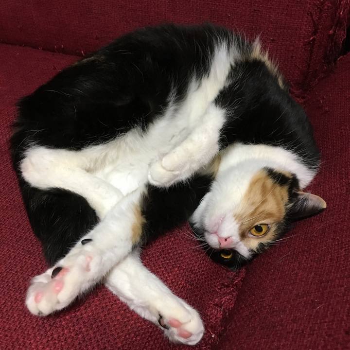 Dca276fc 47d1 4105 9202 ba1298092cd3