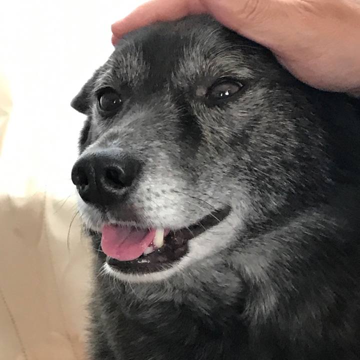 Dca293a8 d401 4b47 81ff e5f87c849e48