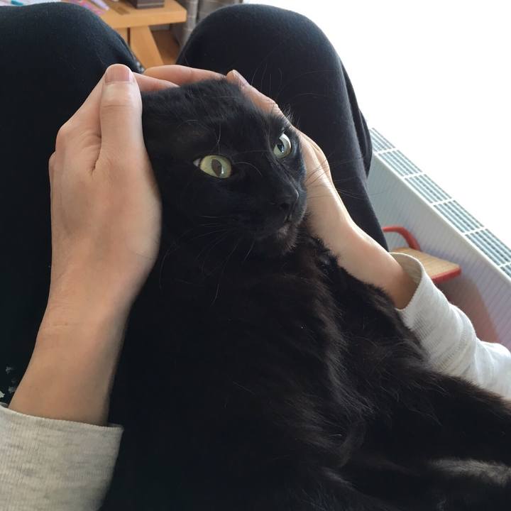 Dca32955 4f02 46ac a135 6fc9ae96791b