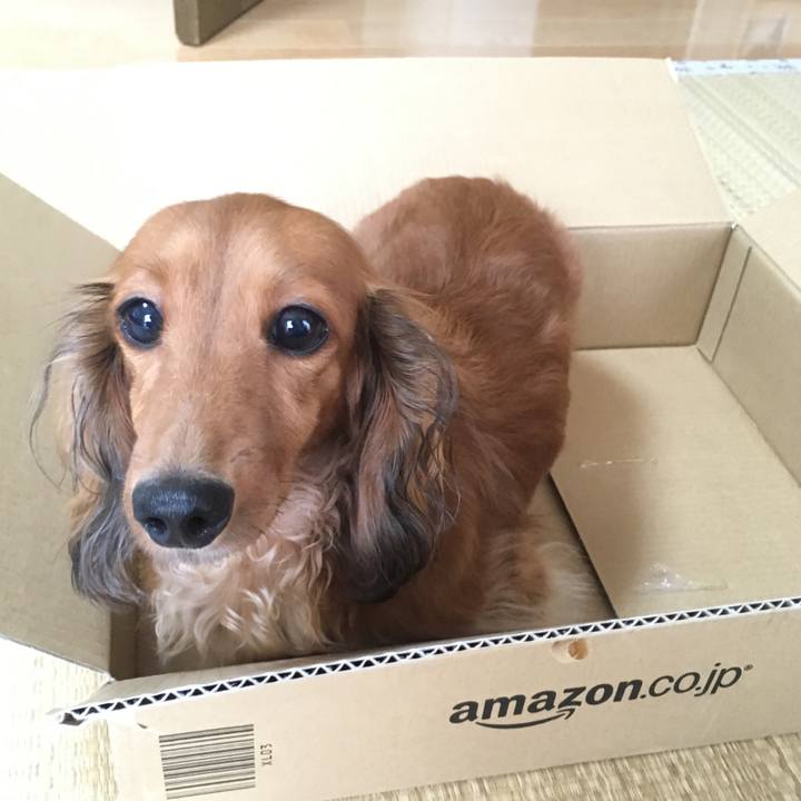 Dca3fae7 dff7 4246 a996 01d3fc7d8b8d