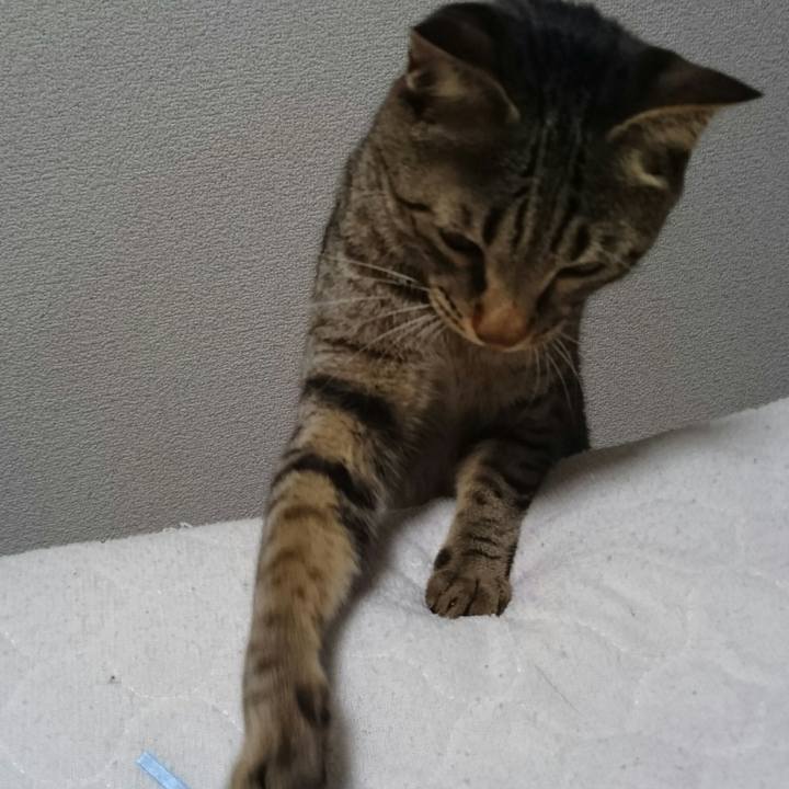 Dca434bd f8ec 4cfc 96db fa9abefad2c9