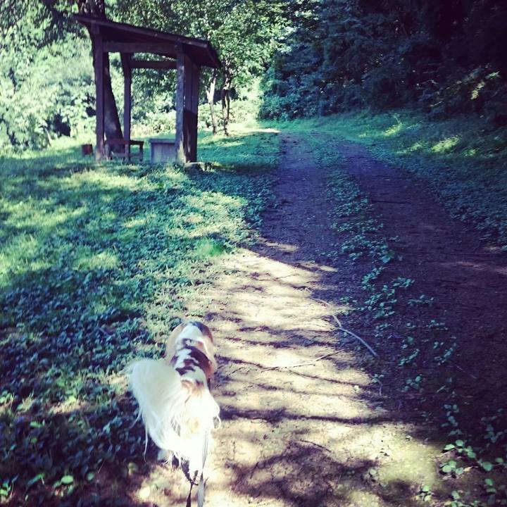 Dca46068 dfdc 4abf 96d4 9a7e7b463e39