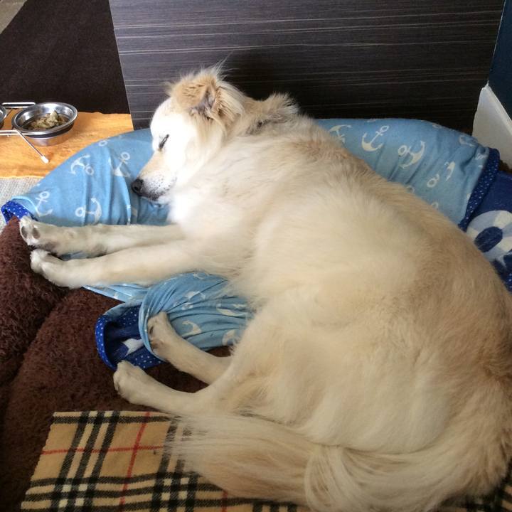 Dca4c43c 5ff7 4fa4 a7b0 9deee49b0e57