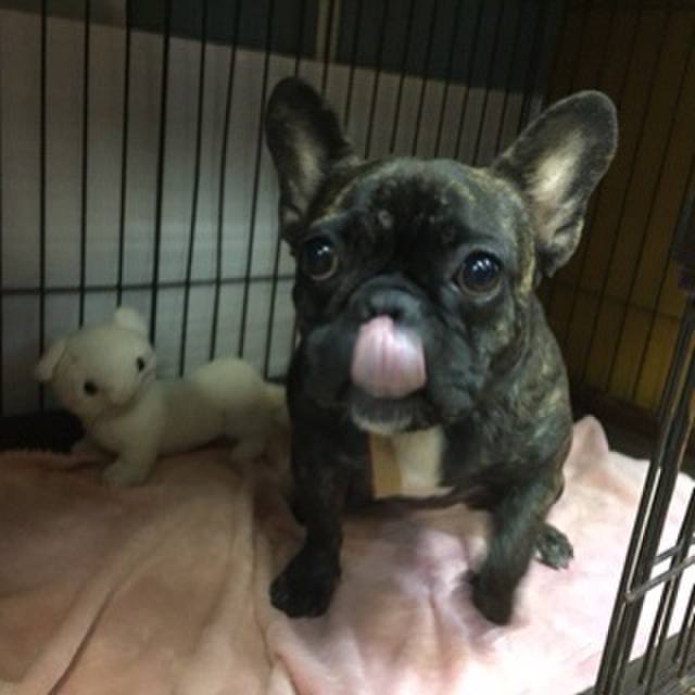 Dca4e1df ab22 4f78 80f4 e052b7ae3fd5