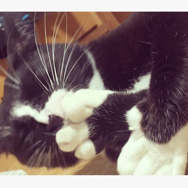 Dca4e961 d237 48c2 b863 541852b10ac7