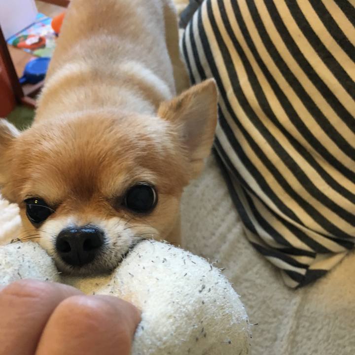 Dca5281d ae56 4e65 b054 a2349ee2f1bd