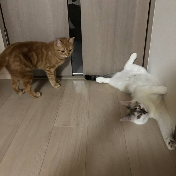 Dca5bc75 e9a8 4db7 9395 7f49d467725d