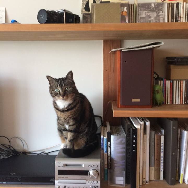 Dca5d6ad a729 4d77 b355 7bee095b06c2