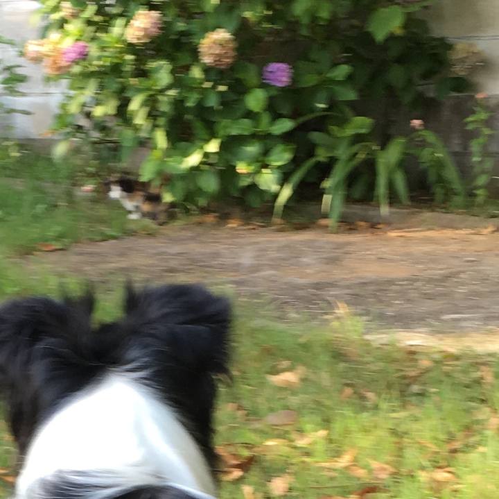 Dca64427 f1be 4024 95b4 9b8fb0cdfffb