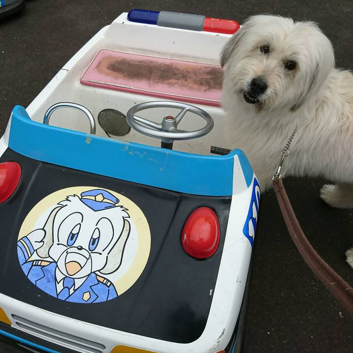 Dca660de d0e9 4fc1 ab75 c9aeea04dc2f