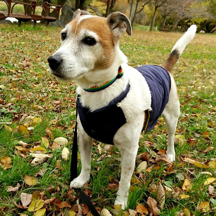 Dca7195f 5a80 4a68 b0cc 03221c0d27c4