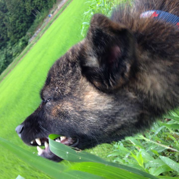 Dca72ad6 28de 44a3 a9d9 80b0d64a6910