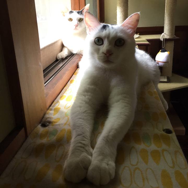 Dca75637 d16b 4298 a6af 54e7bdd14f11