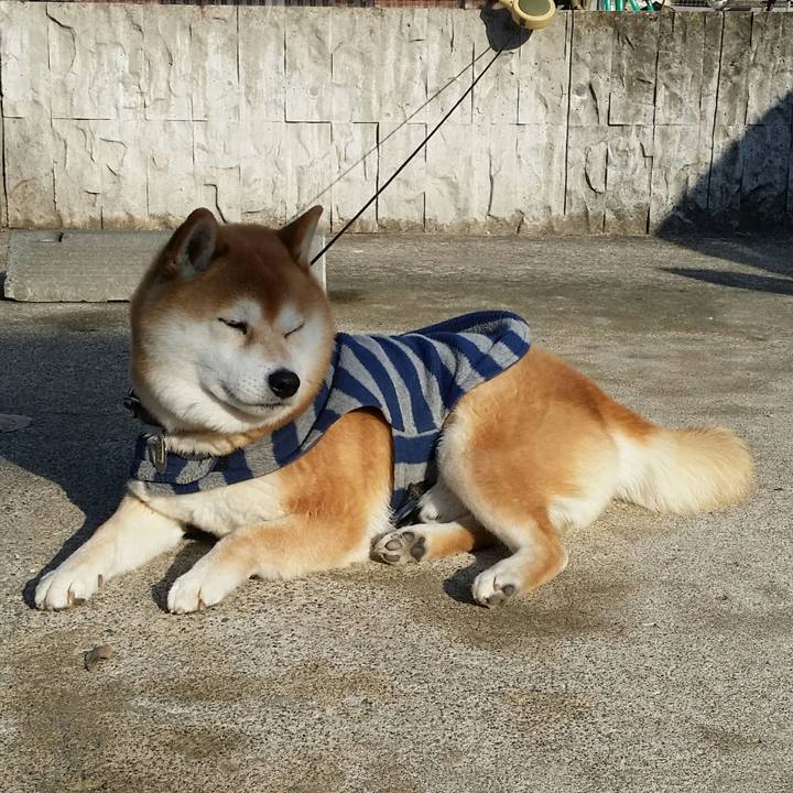 Dca8422b 7eff 4c8e a32c f22318836593