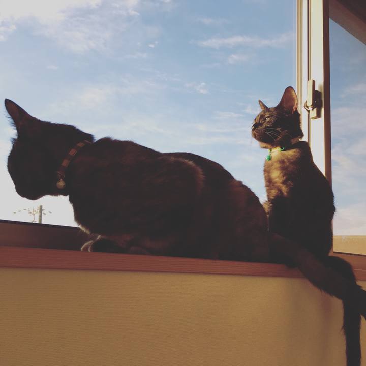 Dca848fb 9b60 47ca 81ff 62dd88348177