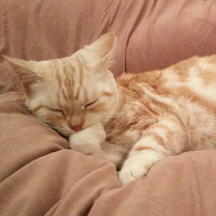 Dca887aa ee62 459b 90c9 a6f696425ad6