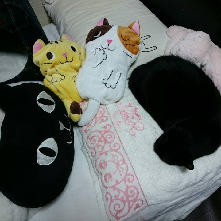 Dca8c939 17db 4812 9267 e2cfa0ff2ca8