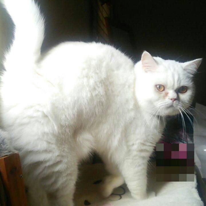 Dcabc0da 7222 435c ab58 a30397c90558