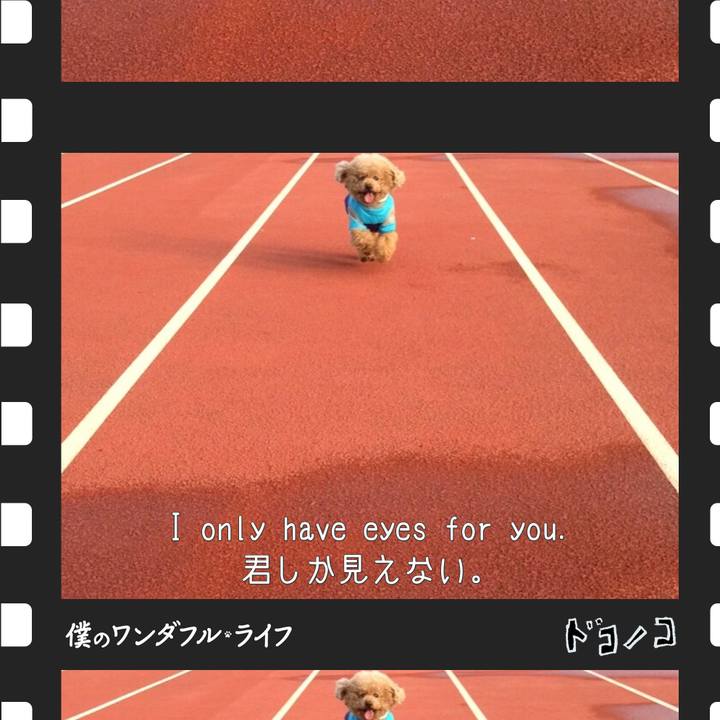 Dcad696f 1ac3 499b ac3c f4d678c8fabd