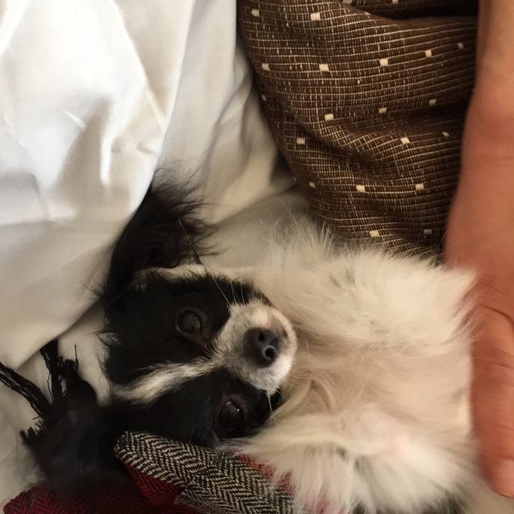 Dcadc808 0e3d 43a9 848e 38fc8a44dae1