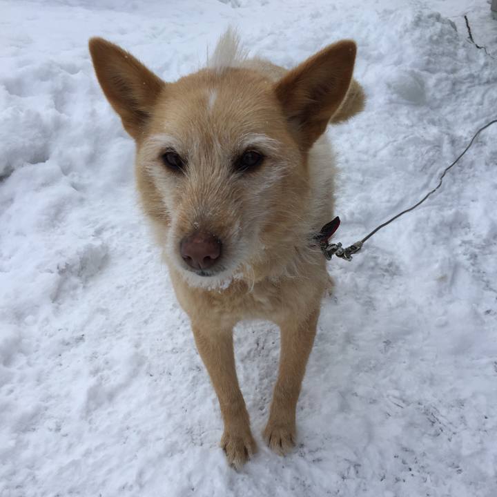 Dcadcf10 f551 4478 b7d1 be1cc9fe03cf