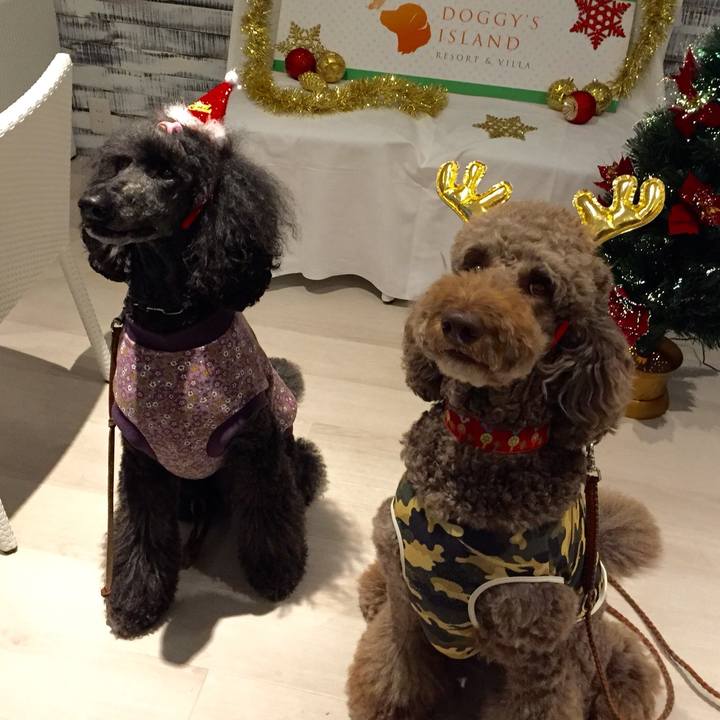 Dcade035 28fa 440c a6a4 666c4851e9df