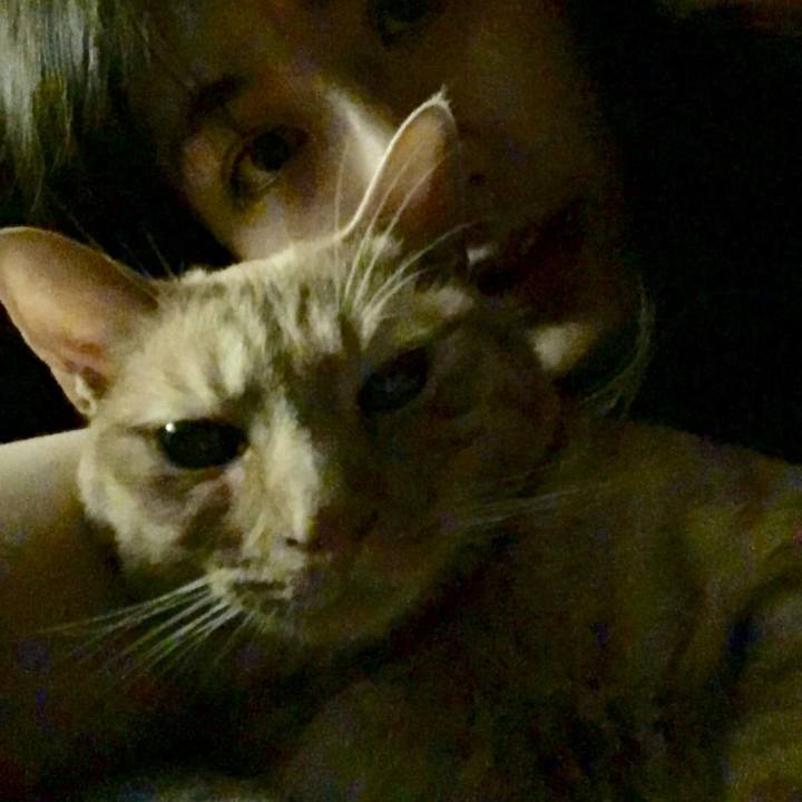 Dcae2d28 df36 4e6f b681 ce1130abc8de