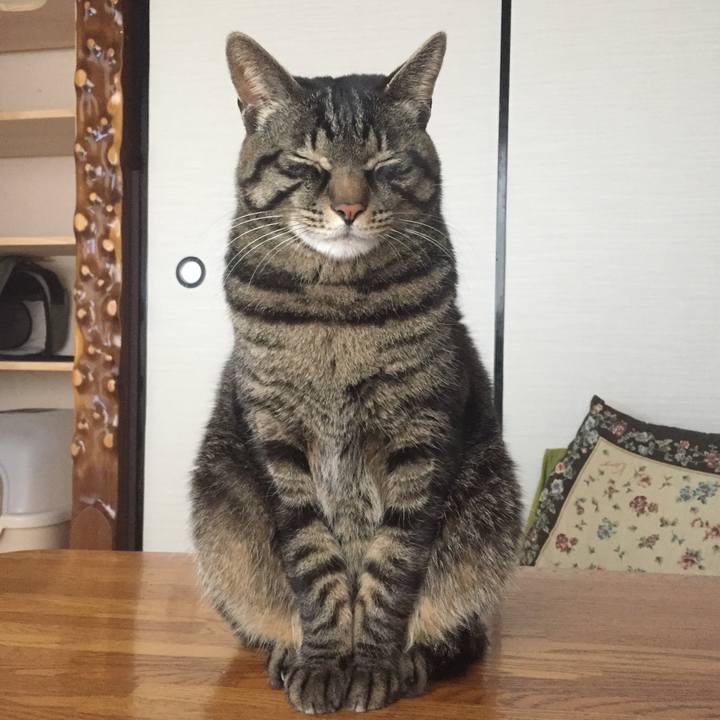 Dcae7dd8 71d0 4031 9cb2 fa884d6200e2