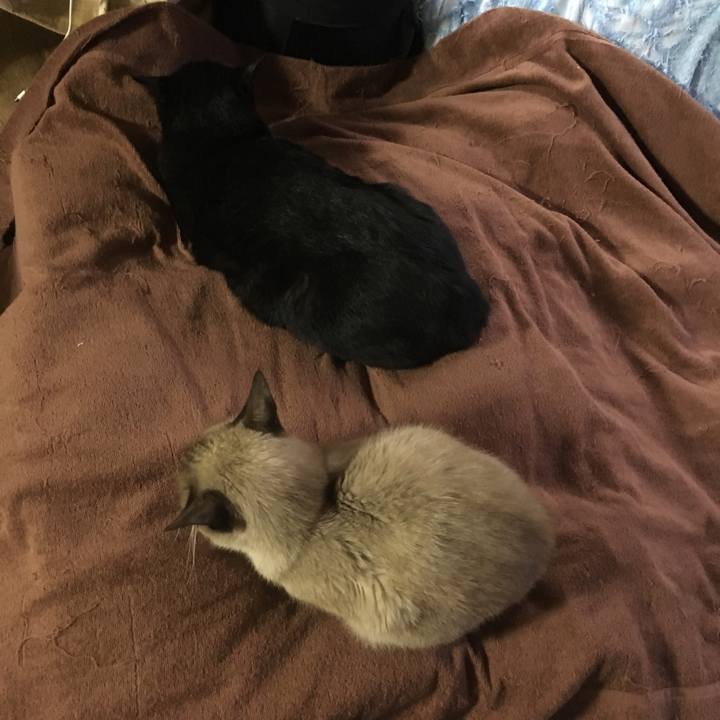 Dcaeaf67 9937 43fc 9017 c6d22cc64d21