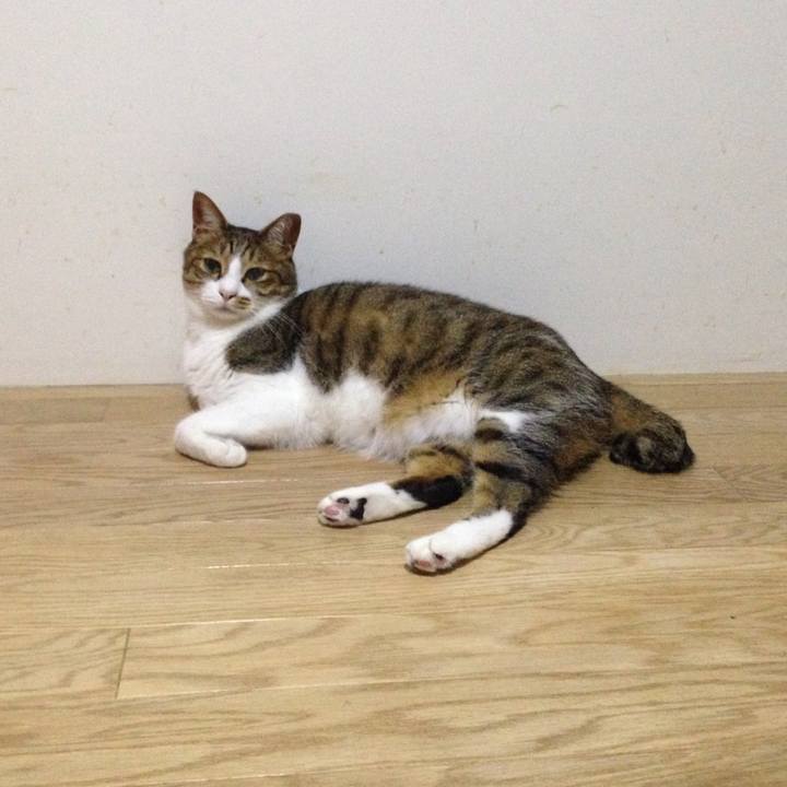 Dcb0a34f 82fb 4152 9b95 f5f84f6dcd08