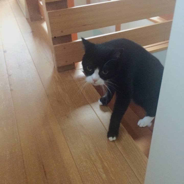 Dcb0f8a4 cbc1 4eee b78c 0b06f055d84e