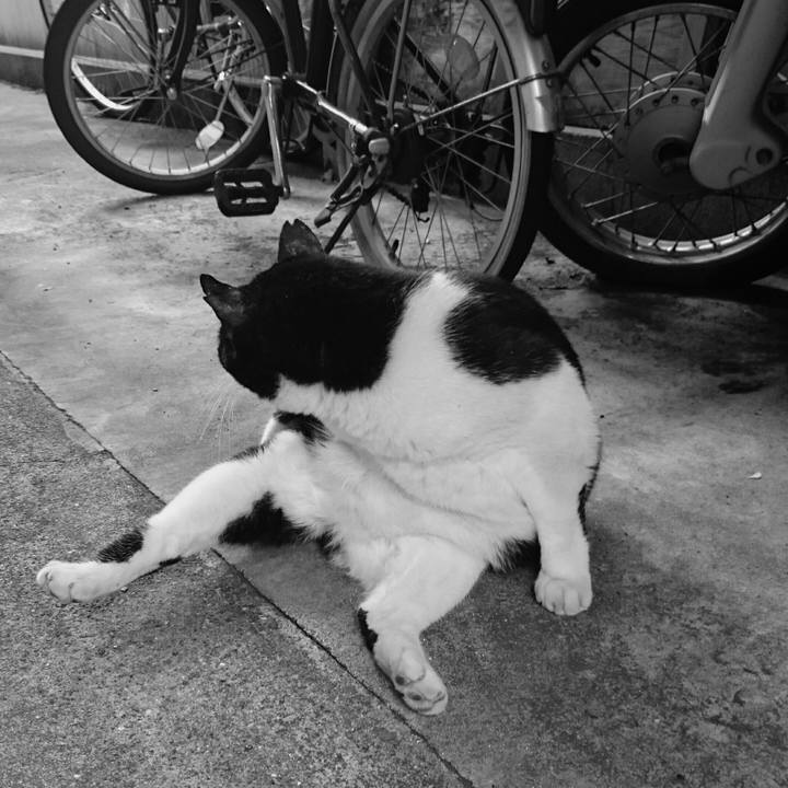 Dcb13057 eeef 4002 b084 22dedac47990