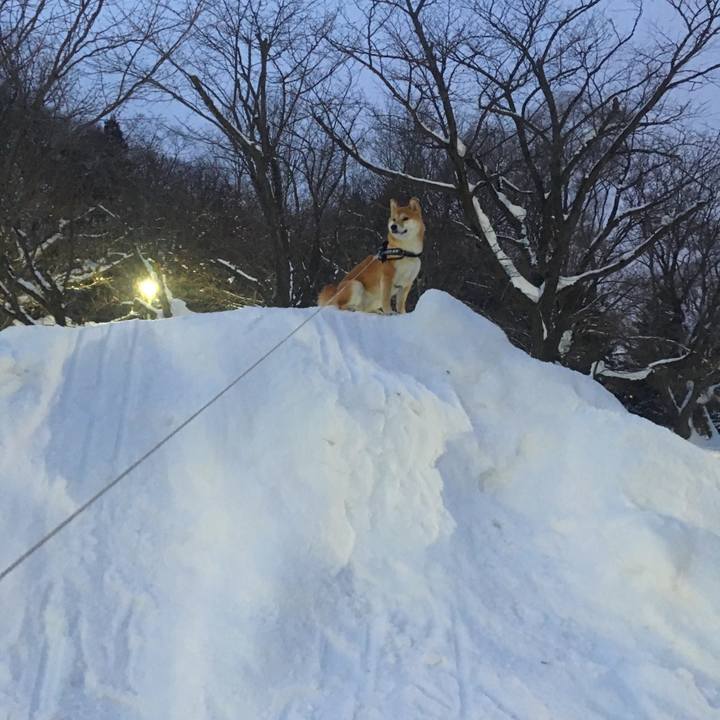 Dcb1bc95 c7bc 425a bf13 f7b31c25c536