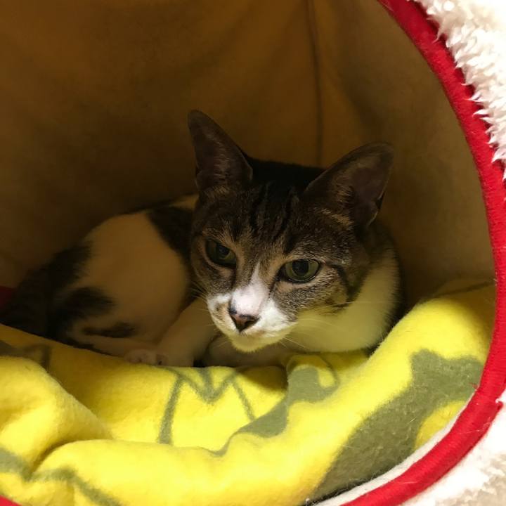 Dcb1d591 dea6 441f 9ae7 5d3779c12723