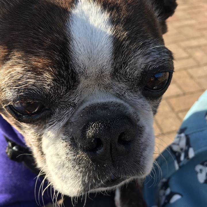 Dcb1fe5c f405 4698 b07d 19b6d74bbffa