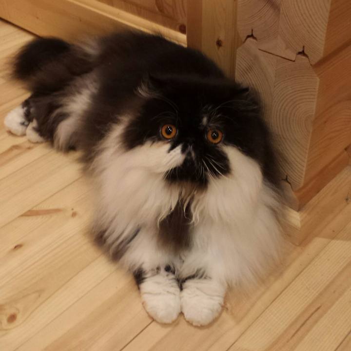 Dcb24623 c452 48a7 acab 409cc2aade8c