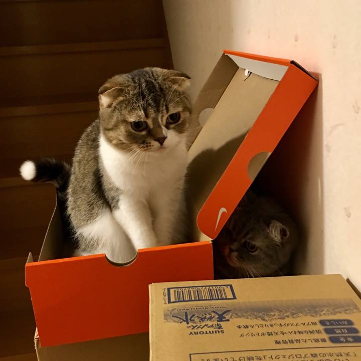 Dcb29405 d719 4a88 8e78 f41ea4912b5c