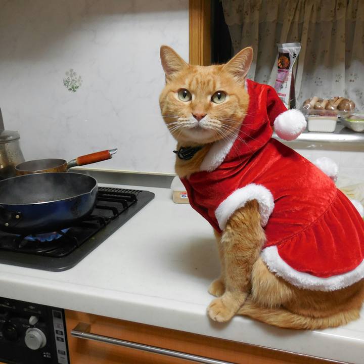 Dcb29bf9 a898 4849 98d6 012f0950b5d8