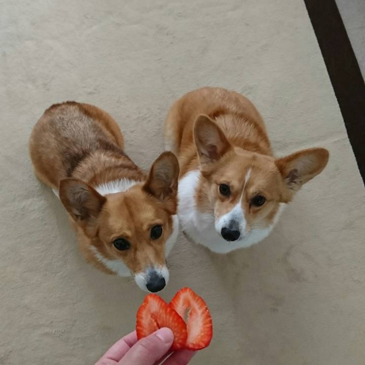 Dcb33f83 5584 4ebf a780 32c1c802d7f8