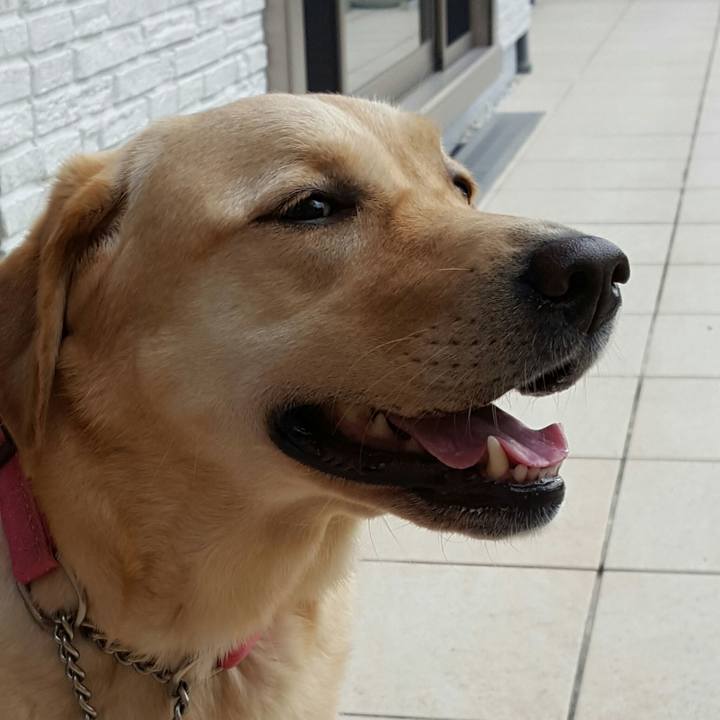 Dcb3db45 7935 4c37 aca2 608790b5eb42