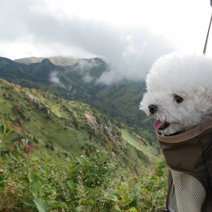 Dcb4313b 6890 42d6 af23 b5c04ff72737